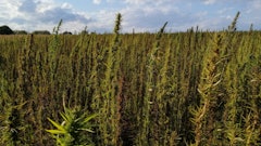 Untitleddesign 2022 09 12 T110034592