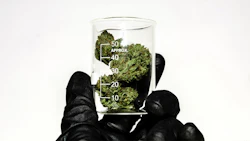1hemptest