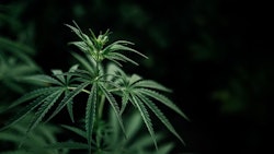 Arkansas Adobe Stock509099914