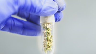 Cannabis Test Tube Adobe Stock Credit Elroi Resized2