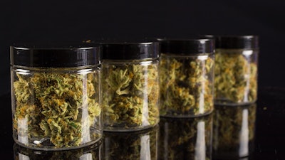 Canna Jars Adobe Stock137620714