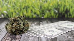 Canna Money Adobe Stock185225302