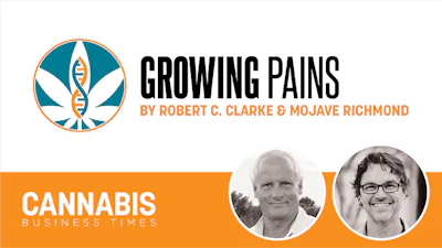 Column Headers For Website Growing Pains