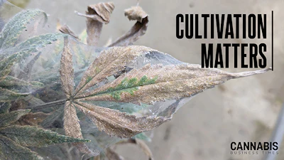 Cultivation Matters Topstory