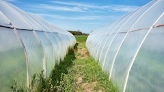 Hoophouse Adobe Stock433011295