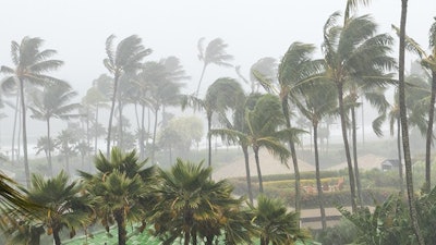 Hurricane Adobe Stock Deberarr Resized