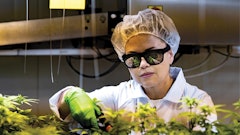 Leyla Bustamante, BioLumic R&D science manager