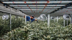 Top Story Images6 Resized