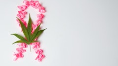 Untitleddesign 2022 10 17 T134053042