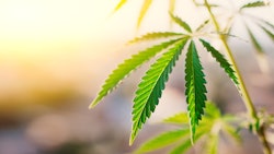 Untitleddesign 2022 10 18 T133151614