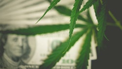 Canna Money Adobe Stock279777592
