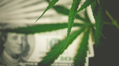 Canna Money Adobe Stock279777592