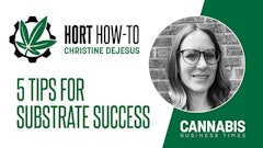 Column Author Posts Nov