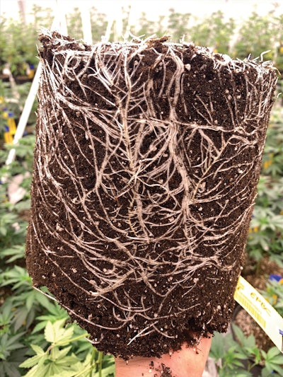 Hort How To November8 Fmt