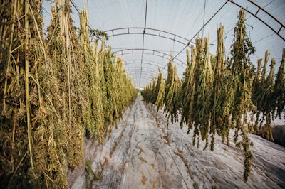 I Stock 1271135368 Fmt