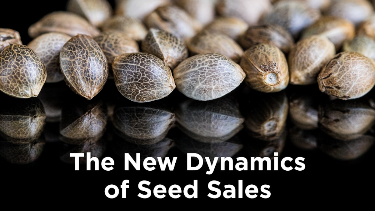The DEA Acknowledged That Cannabis Seeds Are Legal to Sell. So, What