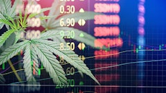 Stocksadobestock258329088