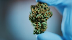 Testing Nug Adobe Stock251994999