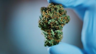 Testing Nug Adobe Stock251994999
