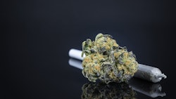 Twitter Fla Adobe Stock168786303