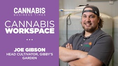 Cannabis Workspace Template New 948x533 Gibson