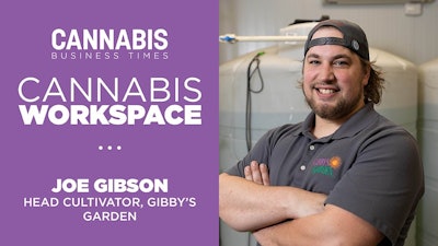 Cannabis Workspace Template New 948x533 Gibson