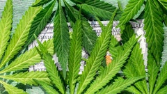 Mari Money Adobe Stock173070486948x533