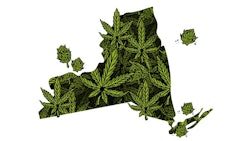 New York Oleksa Adobe Stock283127704