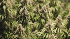 Untitleddesign 2022 12 06 T115434332