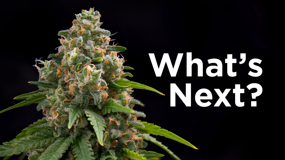 Whatsnext2