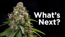 Whatsnext2