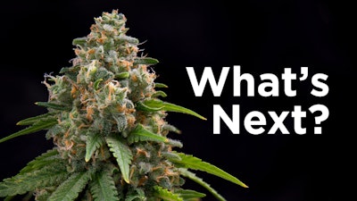Whatsnext2