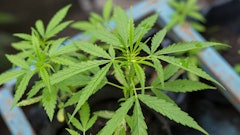 Adobestock 193988800