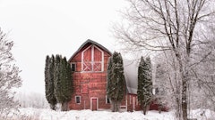 Adobestock 423216288