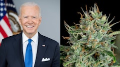Bidenportrait Merged