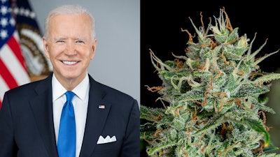 Bidenportrait Merged