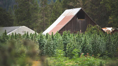 East Fork Farm Web
