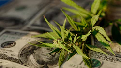 Marymoney Adobestock 388548340