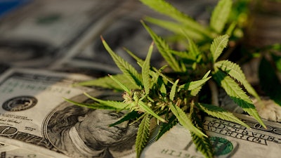 Marymoney Adobestock 388548340