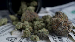 Nugcash Adobestock 397678117