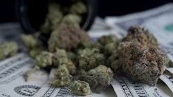 Nugcash Adobestock 397678117