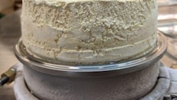 Picture1