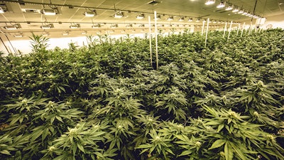 Photo courtesy of Jushi Holdings