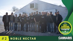 The team at Noble Nectar.