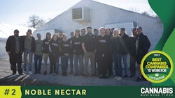 The team at Noble Nectar.
