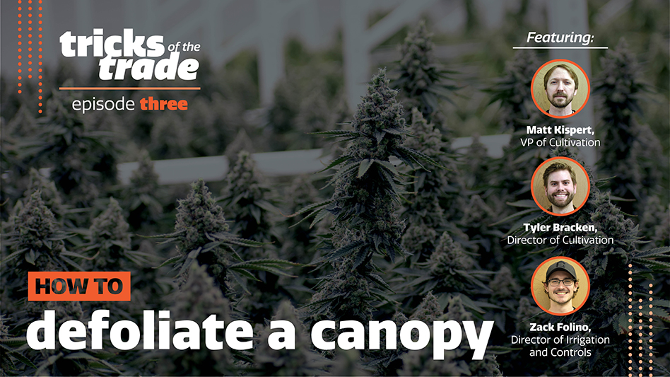 Trickofthetrade Defoliate Display
