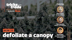 Trickofthetrade Defoliate Display