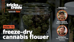 Trickofthetrade Newdisplay