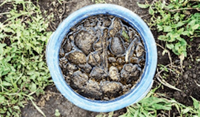 Adobe Stock 163515404 Fmt