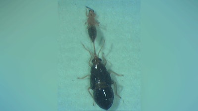 Bio Controls